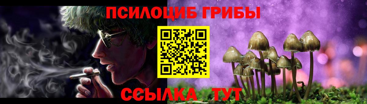 Новокуйбышевск  Галлюциногенные грибы Psilocybe  Вход с VPN 