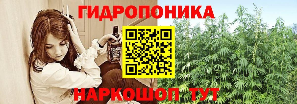 Марихуана White Widow  Вход с VPN  Бошки марихуана гибрид  Новокуйбышевск  Канабис планчик 
